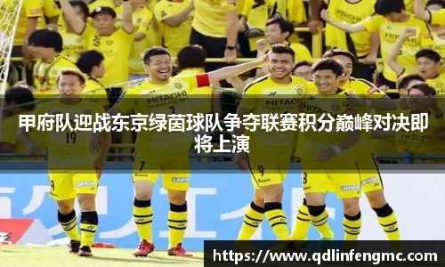 甲府队迎战东京绿茵球队争夺联赛积分巅峰对决即将上演