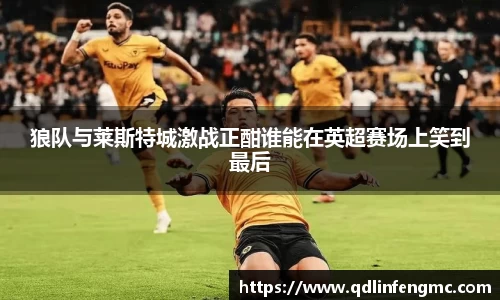 狼队与莱斯特城激战正酣谁能在英超赛场上笑到最后