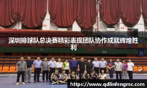 深圳排球队总决赛精彩表现团队协作成就辉煌胜利