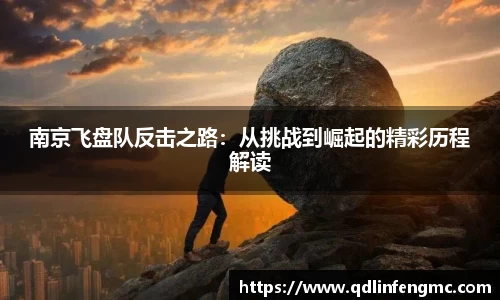 南京飞盘队反击之路：从挑战到崛起的精彩历程解读
